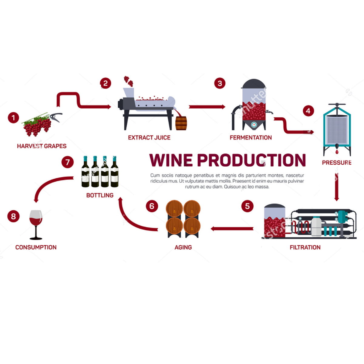 5 Maquina para produccion de vino elaboracion enologica industr
